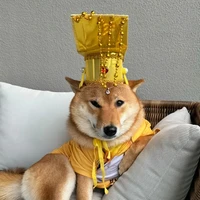 t/g chó