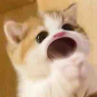 T/g