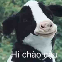 Nhân vật nào cũng cân