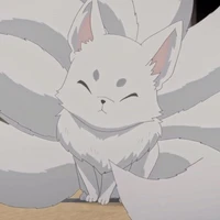 zui/cáo