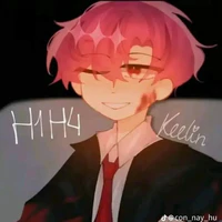 h1h4