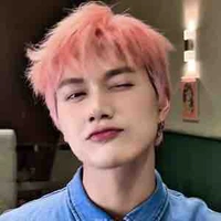 Nguyễn Thái Sơn-Mèo-E