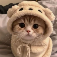 Reina_Hệ Thống 1511