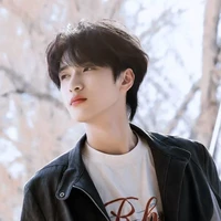 Nghiêm Hàn Mẫn(Y)