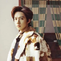 Hạ Tuấn Lâm (Y)