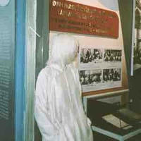 đồng ánh quỳnh