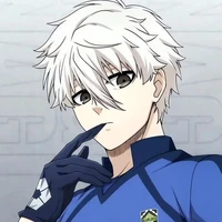 Nagi Seishiro (enigma)