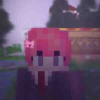 TT Hiha (h97)
