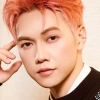 Nguyễn Trí Sơn(Jsol)