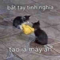 Bố đây mê Việt Hoà lẫn vodka😍🥰🥰😋😋😋