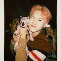 _Nguyễn Thái Sơn_