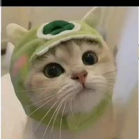 ？？？bé tèo🫧🫧ウイエン