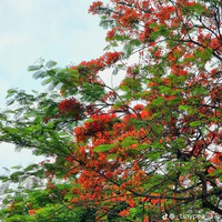 all phản diện