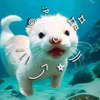 Con tác giả xàm lìn