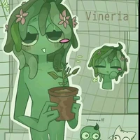 vineria