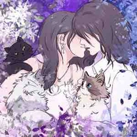 Cá voi sát thủ🖤-Y