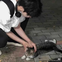 Kim Ngưu nam < Hàn Phong Hằng >