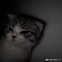 Tín