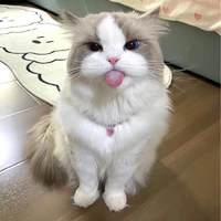 Sữa