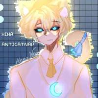 anti catnap