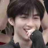 Hoàng Hùng (gemini)