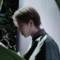 Trần Phong Hào ( Nicky )