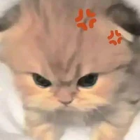 Kiều👁️👄👁️💅✨❤️allhiha❤️🔥