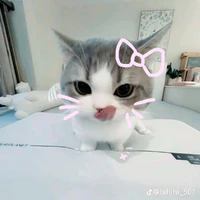 tác giả hay xàm xí 