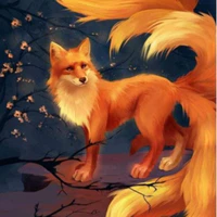 Kitsu