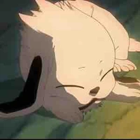 Akamaru