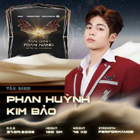 Phan Huỳnh Kim Bảo