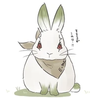 Kikai Usagi