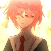 TT hiha