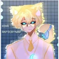 hiha anti catnap