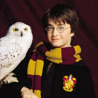 Harry