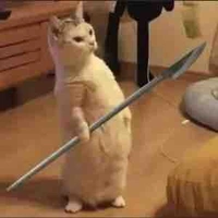 Cân mọi nhân vật