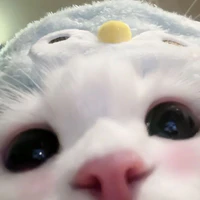 tacgiaa