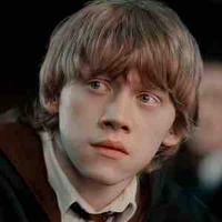 Ronald Bilius Weasley 
