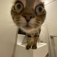 ？？？