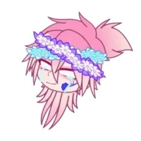 hiha flower(cáo)