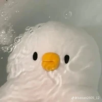 ᴛⁱ     ° ᶦᵈᵒᶫ °