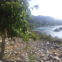 mọi người