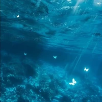 Tác giả cuti nhất thế giới