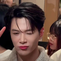 Bùi Anh Tú (Anh Tú Atus)