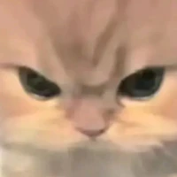 t/g 