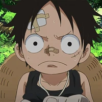Monkey •D• Luffy
