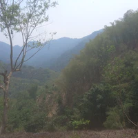 t/g vô lương Tâm