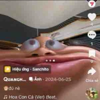 Hà an