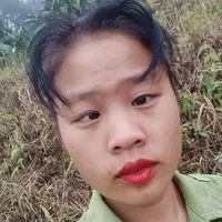 Cẩm Nhi