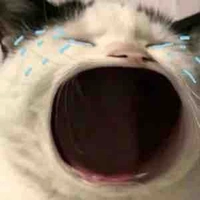 Tác giả rất lười